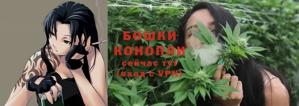 ешки Дмитров