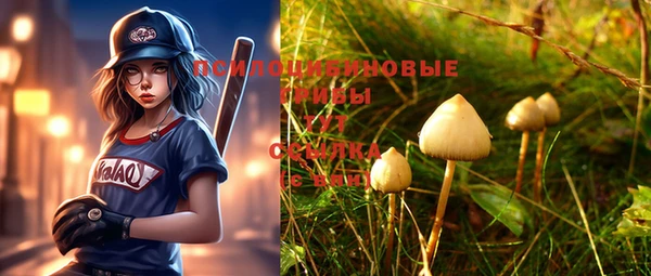 ешки Дмитров