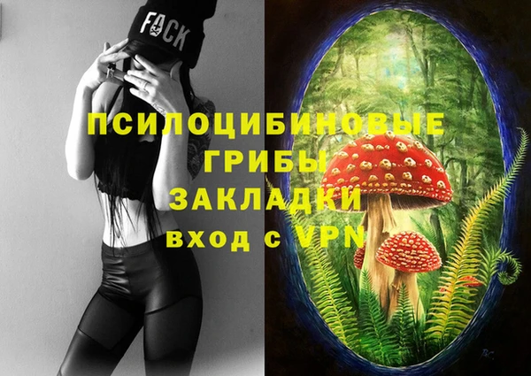 ешки Дмитров