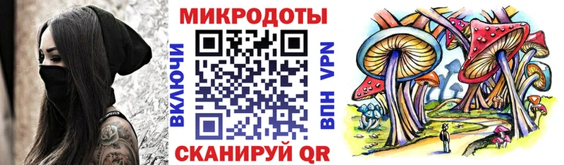 Псилоцибиновые грибы Cubensis  Купить закладки  Приволжский 