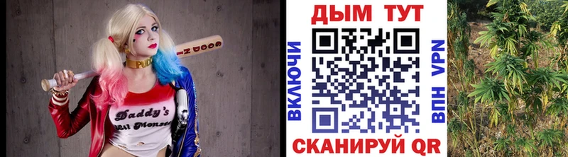 Купить где  Приволжский  Марихуана VHQ 